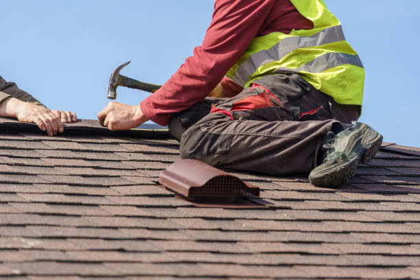 Best Roof Gutter Cleaning  in Fennville, MI