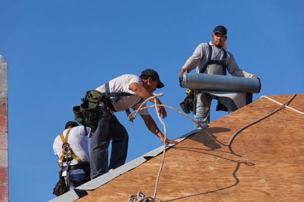 Professional Roofing Contractor in Fennville, MI