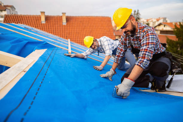 Best New Roof Installation  in Fennville, MI