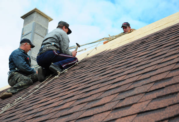 Best New Roof Installation  in Fennville, MI